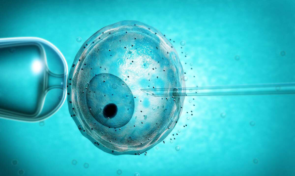 试管婴儿移植后胚胎着床情况监测