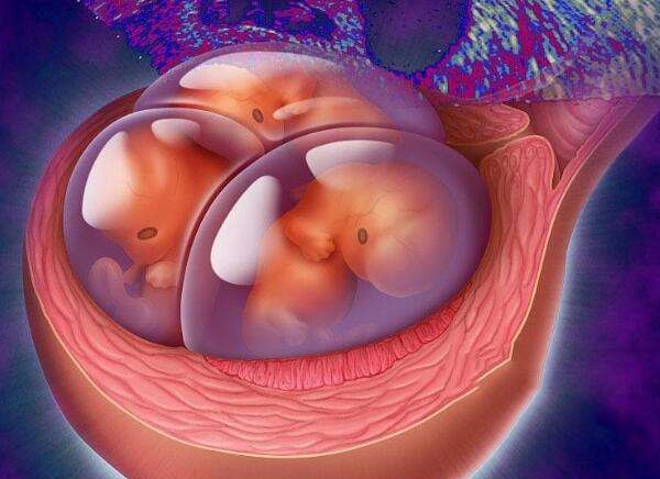 试管婴儿胚胎植入成功率影响因素分析