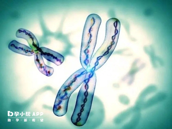 试管婴儿移植手术成功率