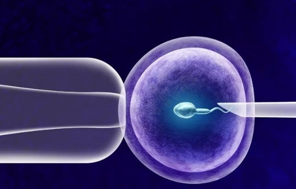 试管婴儿胚胎培养技术比较