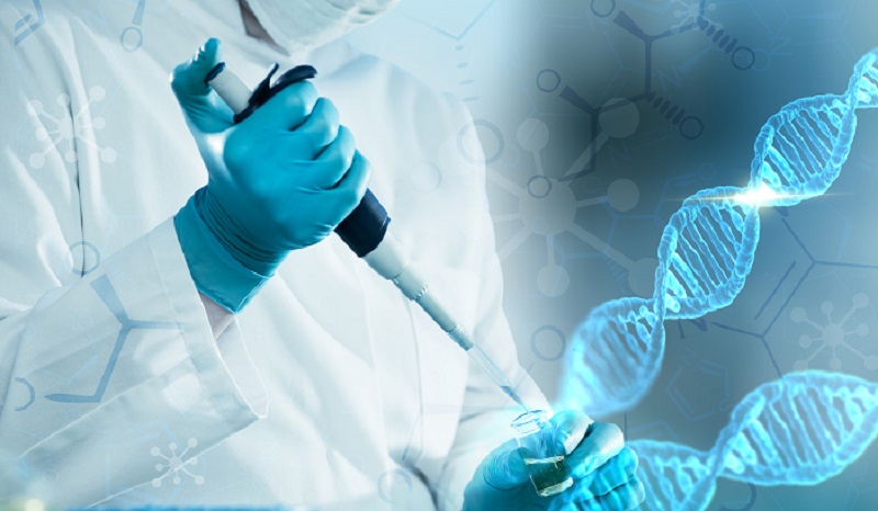 试管婴儿胚胎植入前遗传学诊断检查