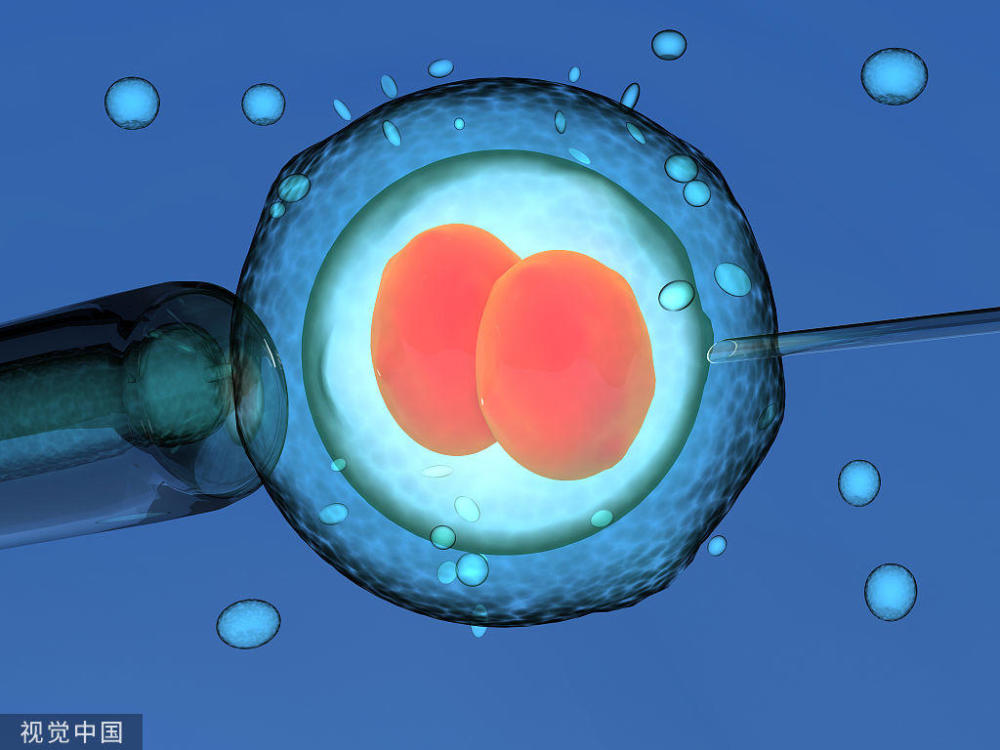 试管婴儿移植后胚胎着床需不需要卧床休息