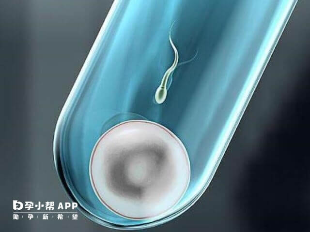 试管婴儿胎盘前置的多胎妊娠