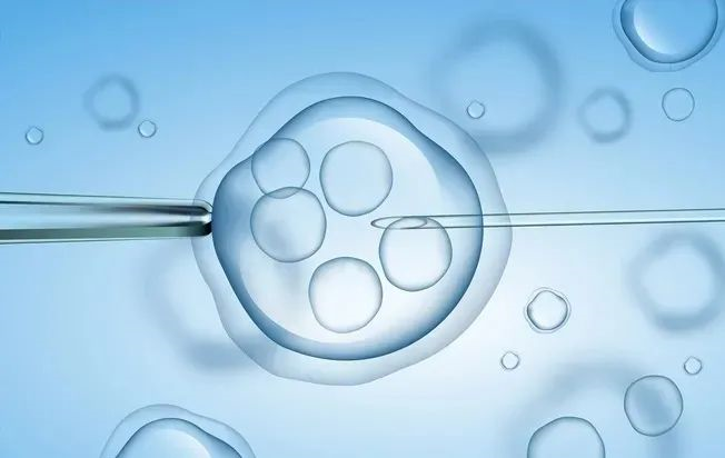 试管婴儿移植后激素水平变化