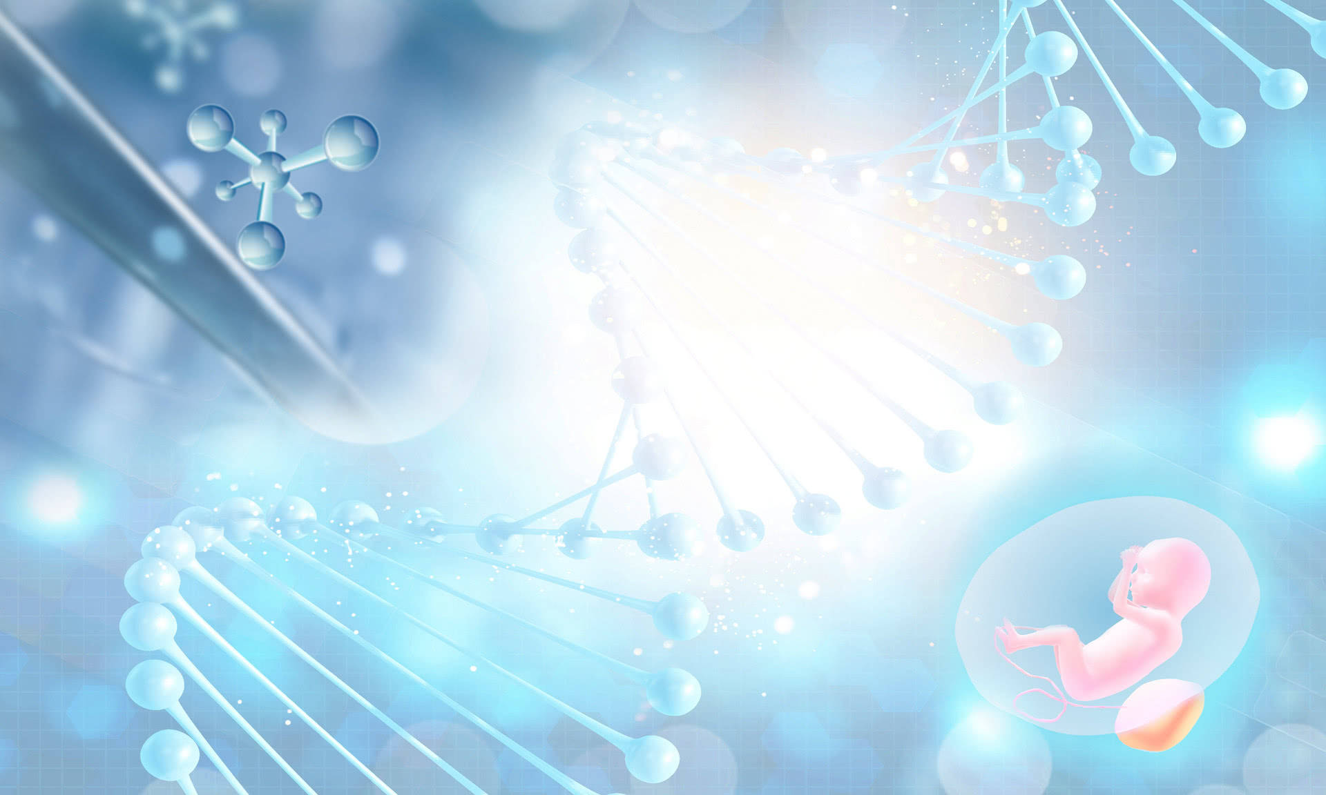 试管婴儿移植后膳食营养干预策略