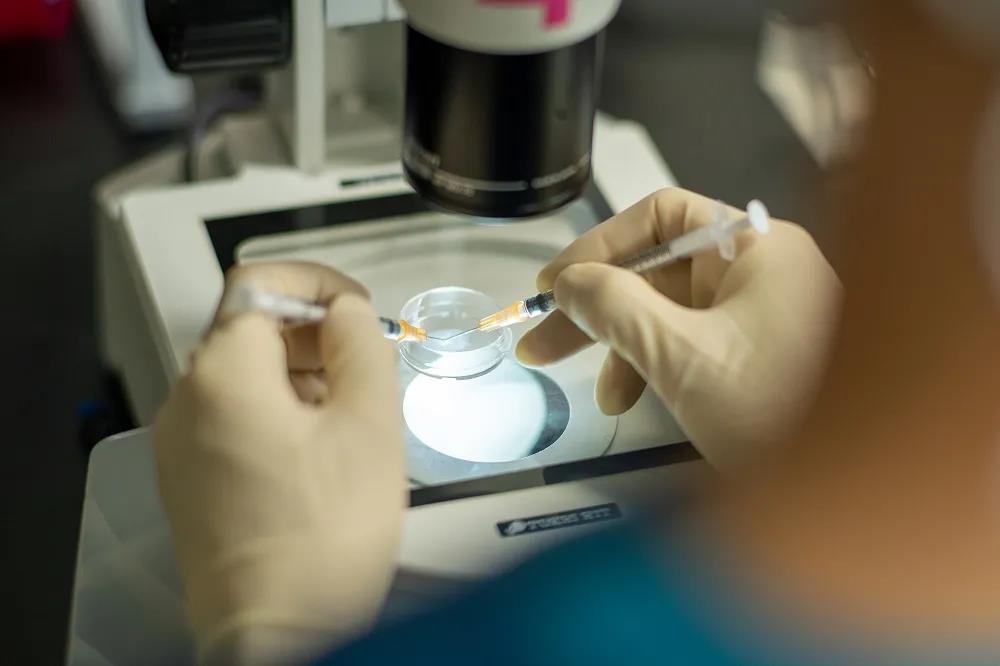 试管婴儿移植后睡眠姿势与胎儿发育