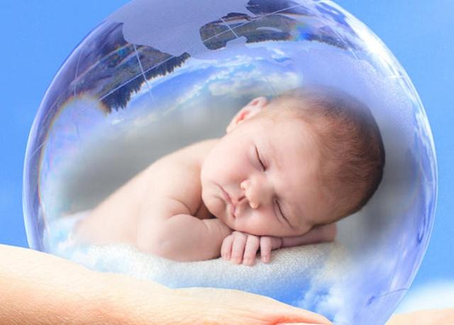 试管婴儿胚胎发育10周