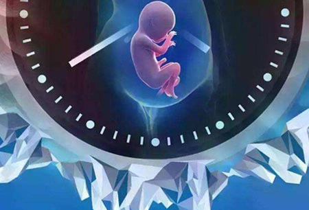 试管婴儿移植手术过程体验分享